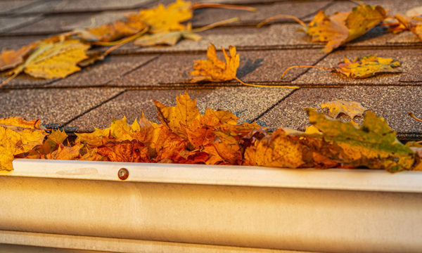 Cette astuce empêche les feuilles mortes de tomber dans les gouttières