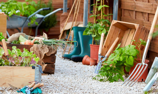 Jardinage : 8 essentiels pour préparer votre jardin au printemps