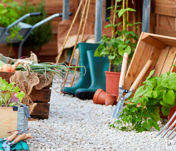 prendre-soin-de-ses-plantes